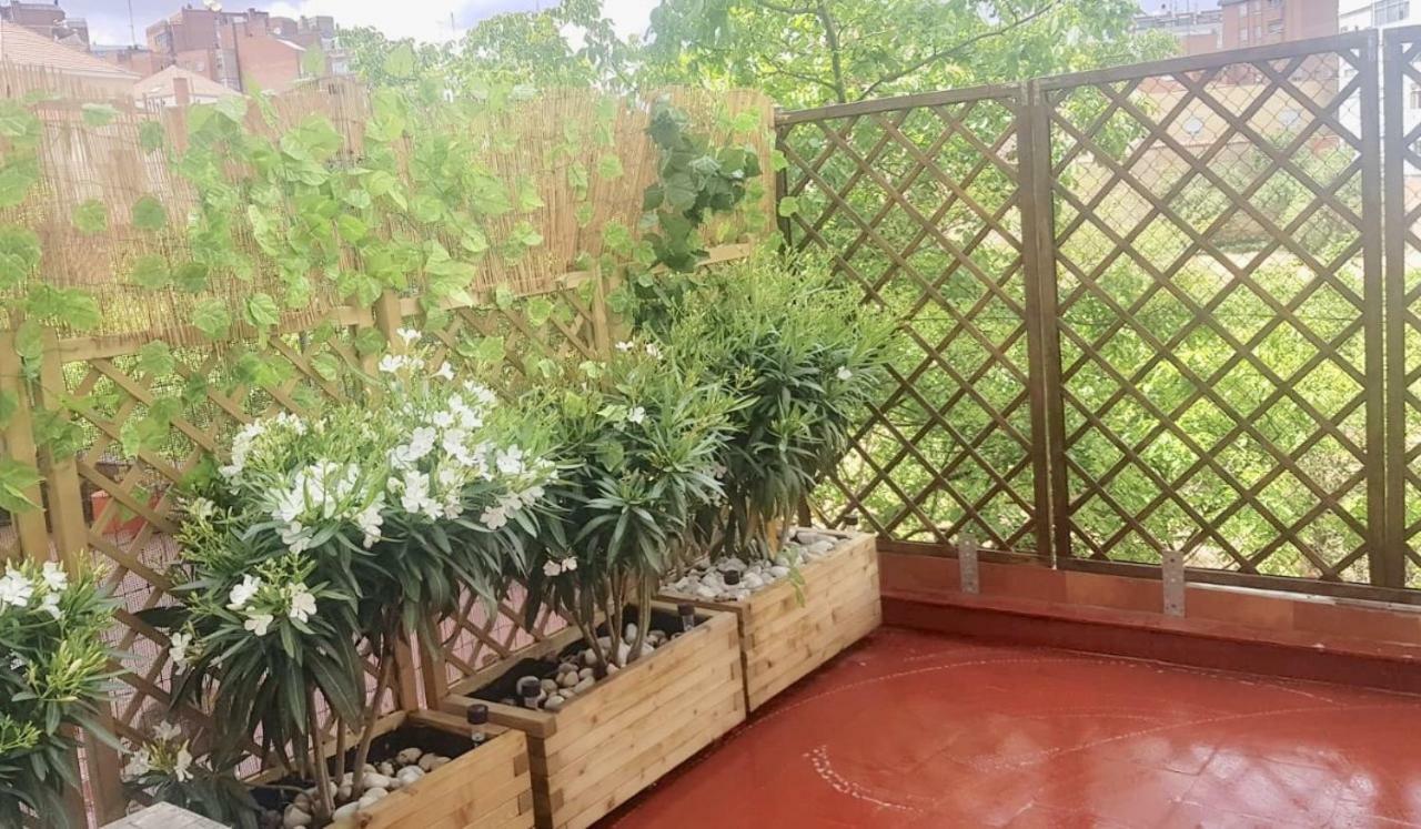 Apartamento San Quirce - Centrico Y Reformado- Wifi Y Netflix Valladolid Bagian luar foto